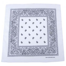 tek BANDANA blo-ern